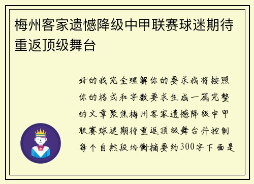 梅州客家遗憾降级中甲联赛球迷期待重返顶级舞台 梅州客家遗憾降级中甲联赛球迷期待重返顶级舞台