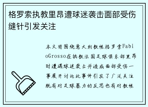 格罗索执教里昂遭球迷袭击面部受伤缝针引发关注 格罗索执教里昂遭球迷袭击面部受伤缝针引发关注