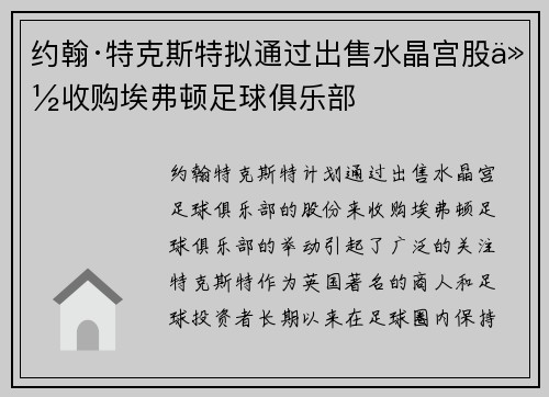 约翰·特克斯特拟通过出售水晶宫股份收购埃弗顿足球俱乐部